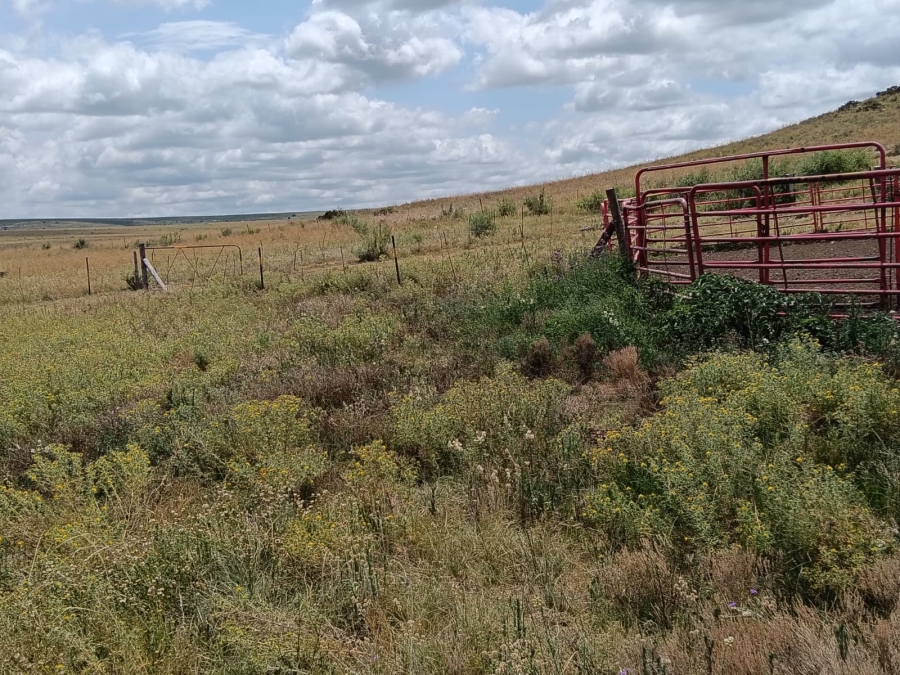 0 Bedroom Property for Sale in Lindley Rural Free State